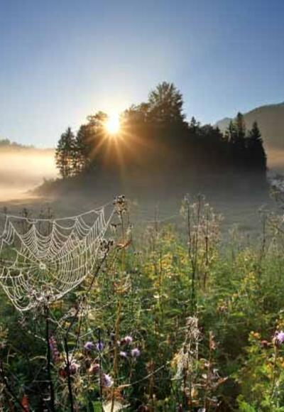 Morgenstimmung am Weitsee