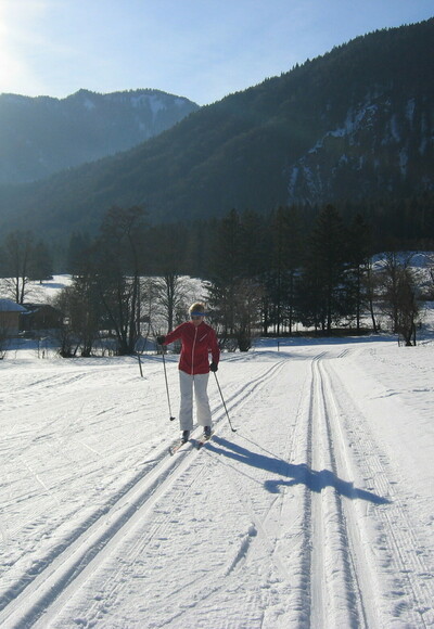 Loip120103_13SchlechingerAu