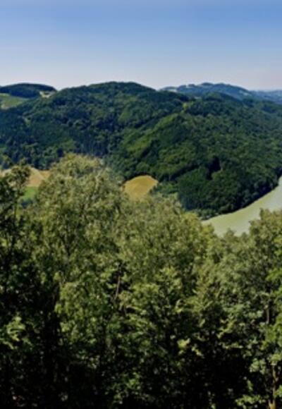 Ausblick vom Predigtstuhl