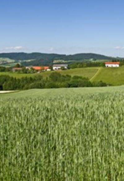 Sagenhafter 4/4-Blick