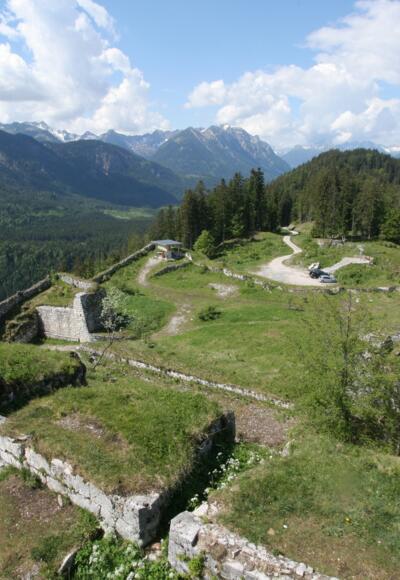 Burg Ehrenberg Schlosskopf