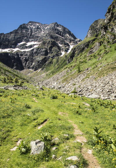 Blick in den Gollingwinkel und zur Nordwand des Hochgolling