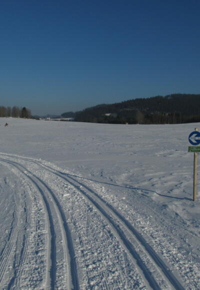 Plateauloipe 32 bei Amesreith - Piberschlag