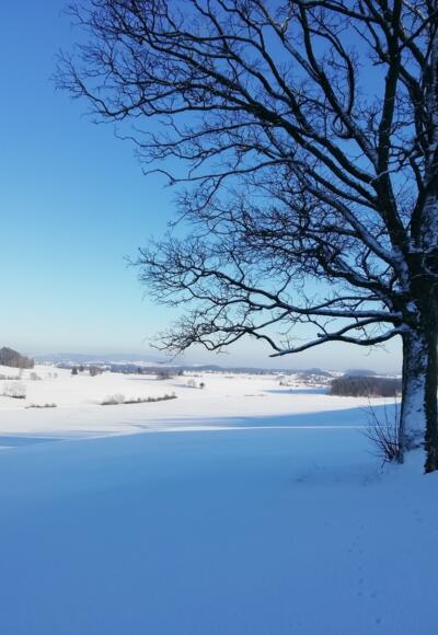 Blick von Eibenstein nach Summerau - Nordwaldkammweg II