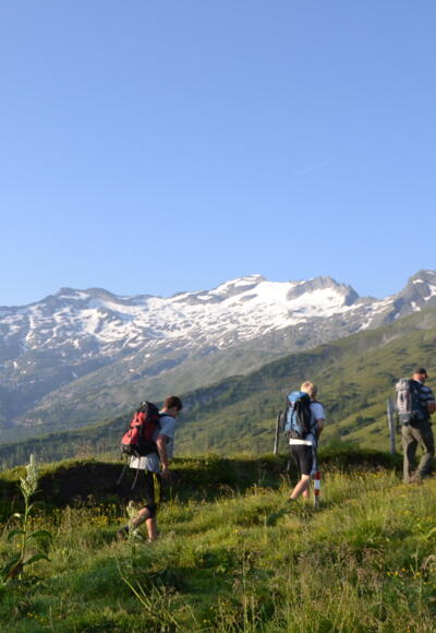 Blick zum Keeskogel oberhalb der Aschlreitalm