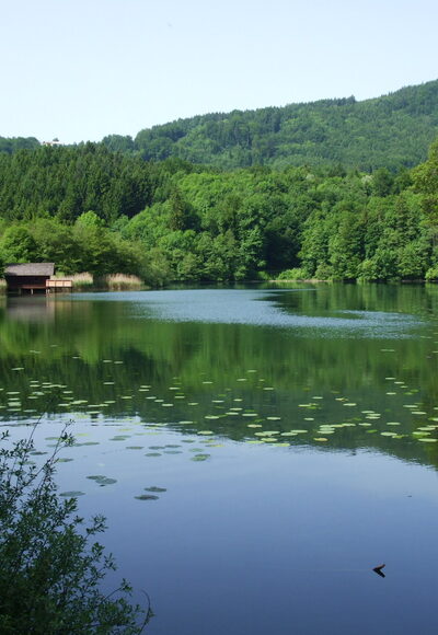 Idylle am Höglwörther See.