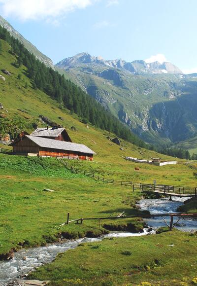 Steineralm, Blick auf die Obere Steineralm, dahinter die Wellachköpf