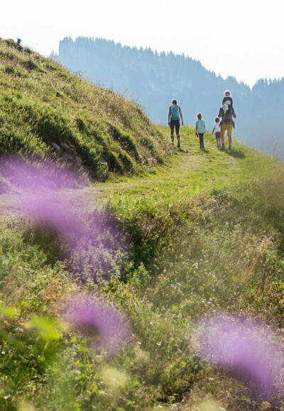 Wandern auf dem Sonderdach