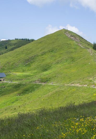 Blick auf Hohe Kugel und Kugelalpe