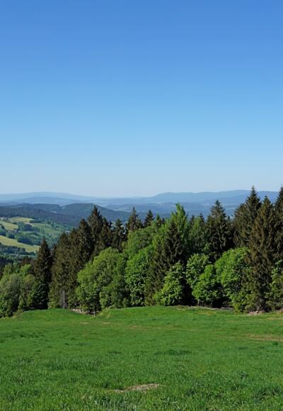 Aussicht beim queren der Predigtstuhl-Lifthänge