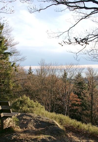 Saustein-Gipfel mit Fernsicht