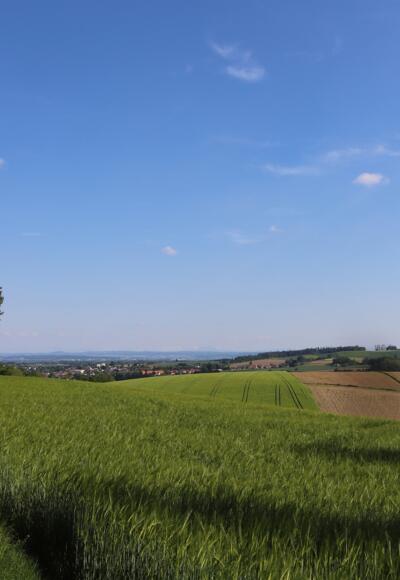 Wegstrecke Rotthalmünster Tour 22