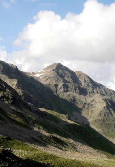 Lawenskopf und Furgler