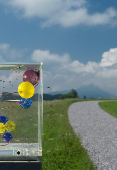 Ortswürfel von Oy-Mittelberg