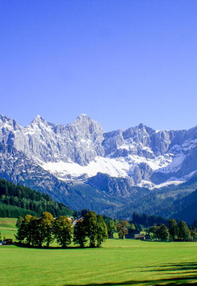 Blick zur Dachstein-Südwand