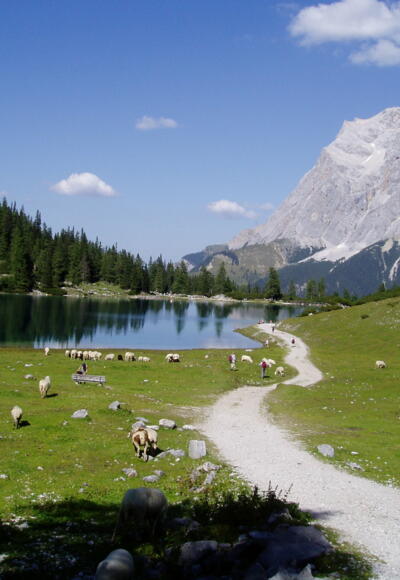 Der Seebensee mit Blick nach Norden