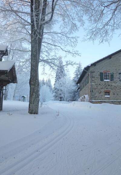 Ödwies mit Kapelle und früherem Forsthaus