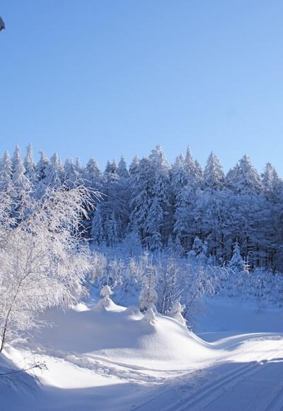 Kurz vor der Wende beim Knogl