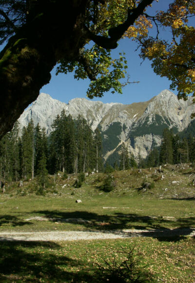 Kleiner Ahornboden im Johannistal.