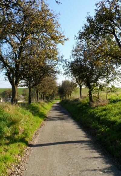 Idyllischer Rastplatz