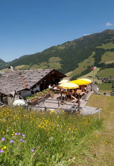 Böglalm im Sommer