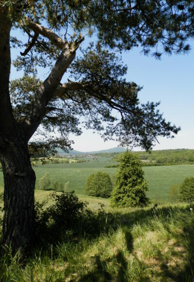 Blick auf den Gleichberg