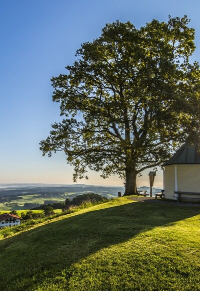 Aussichtskapelle Oberreit mit Luitpoldeiche