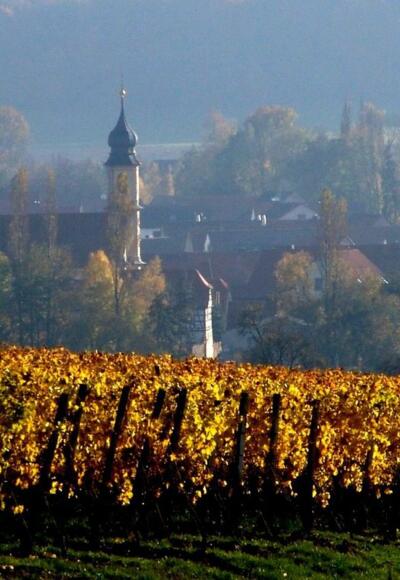 Michelau im Steigerwald