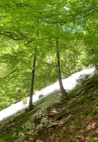 Ammergauer Höhenweg (1.Etappe von 4)