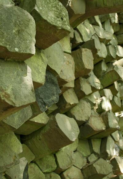 Am Südosthang des Gangolfsbergs führt der Pfad an einer der besterhaltenen Basaltprismenwände der Rhön vorbei.