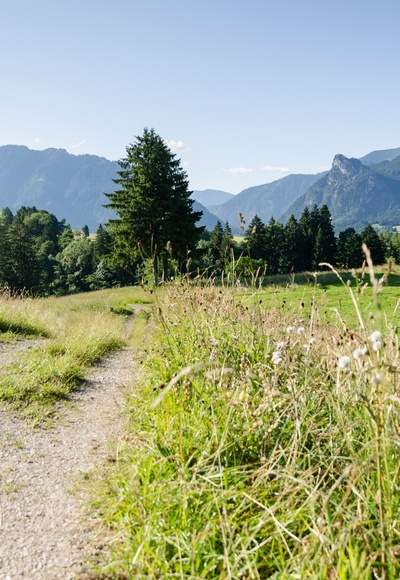 Auf dem Wiesmahdweg Richtung Oberammergau