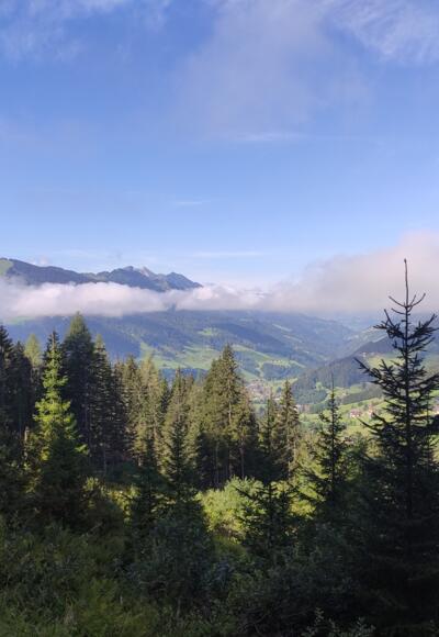 Wanderung zur Edelweissalm