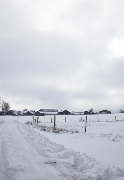 Winterwanderung Scherenauer Runde