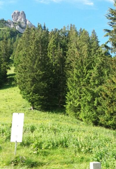 Grasiger Sarojasattel, 1637 m, mit erstem Blick zu den Drei Schwestern.