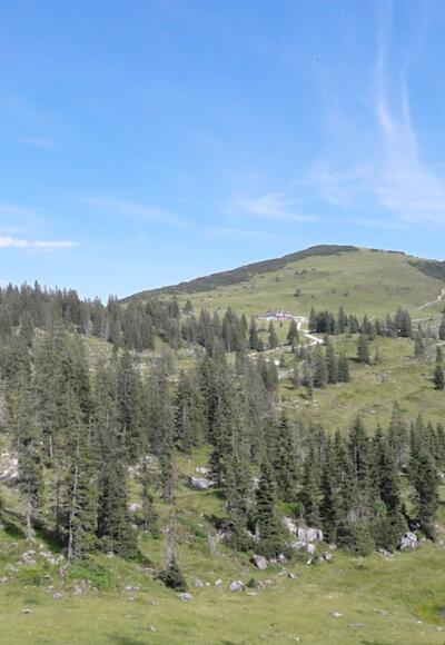 Blick zur Eggenalm mit dem Straubinger Haus