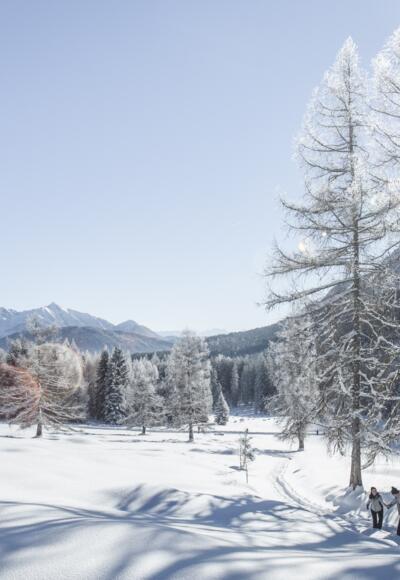 Winter im Leutaschtal