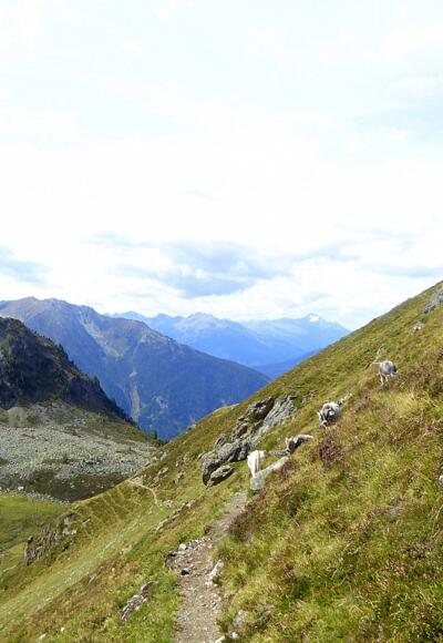 Unterwegs ins Riegetal