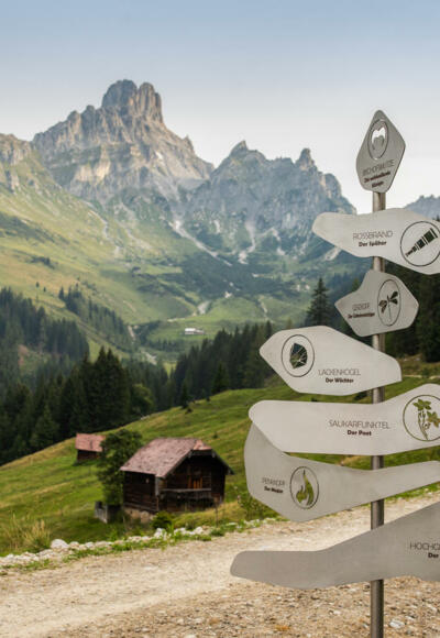 Salzburger Gipfelspiel