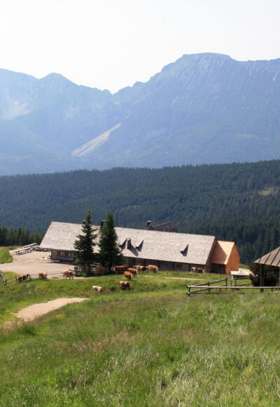 Inzell-Stoißeralm: Die grandiose Aussicht zum Chiemsee und Salzburger Land genießen.