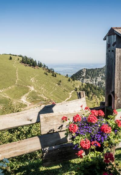 An der Steinlingalm, Blick zum Sultensattel