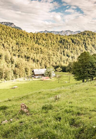 Die Höllenbachalm eingebettet in herrliche Landschaft