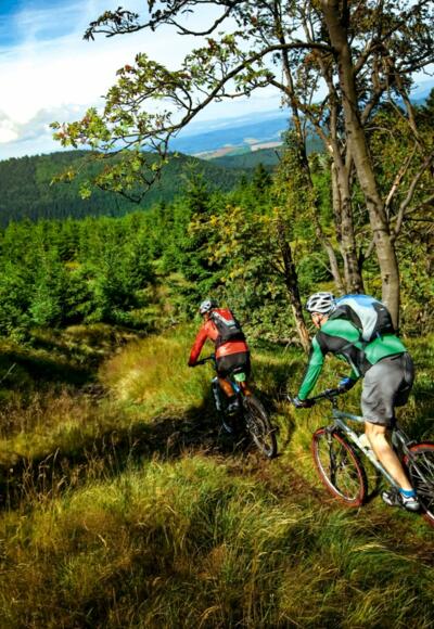 Downhill at its best