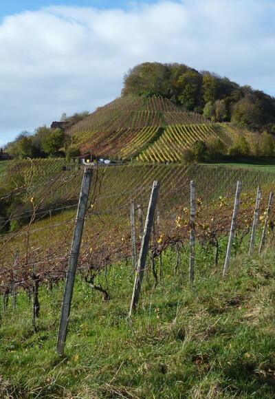 Stollberg, Frankens malerister und höchster Weinberg