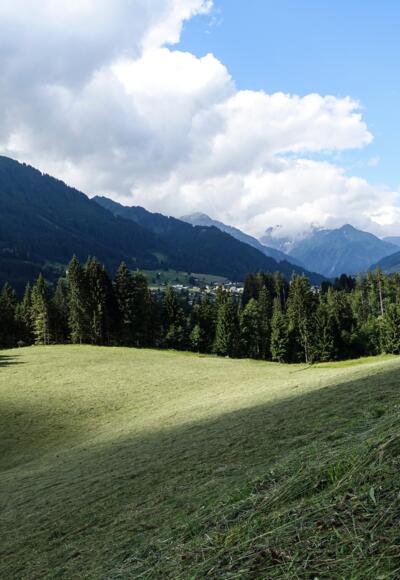 Straussberg am Hörnlepass