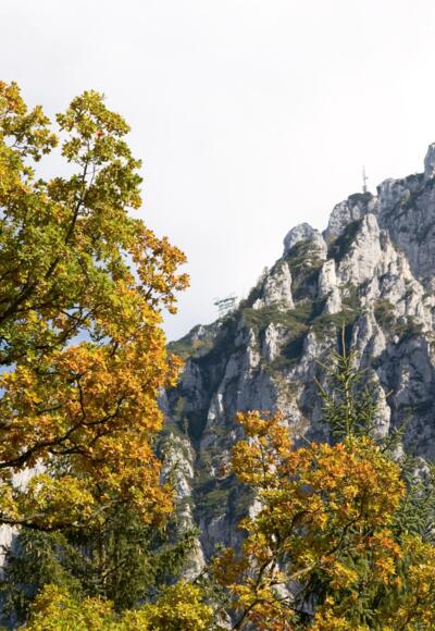 Rauschberg im Herbst