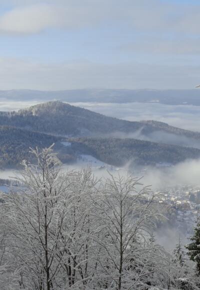 Aussichtspunkt Arberhochstraße