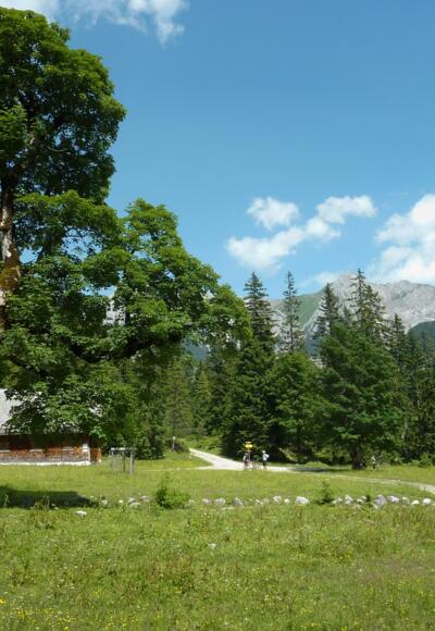 Am Kleinen Ahornboden