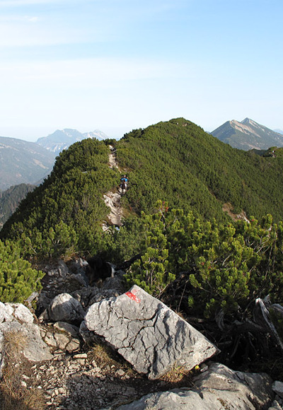 Dürrnbachhorn (1776 m)