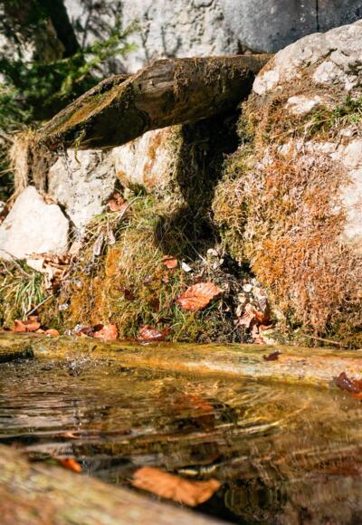 Kaltes Wasserl Kramsach Brunnen