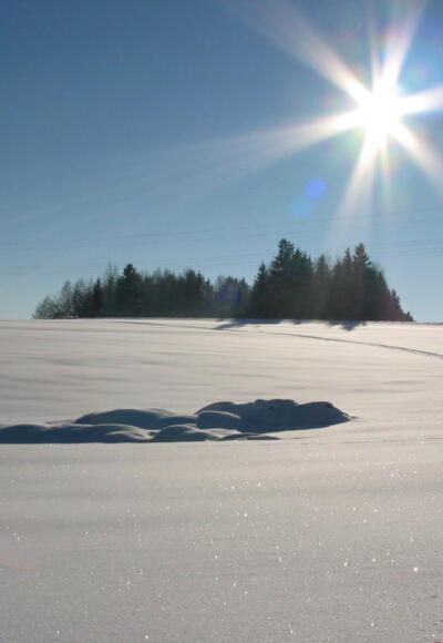 Loipen in Neustift ob der Donau